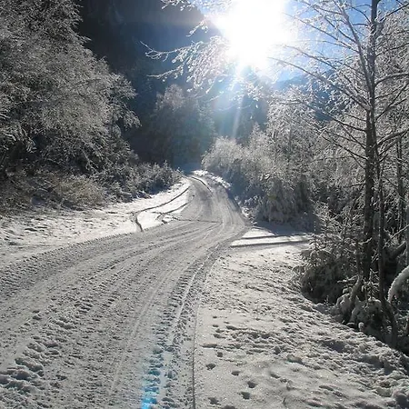 招待所 Gaestehaus Brugger 3*